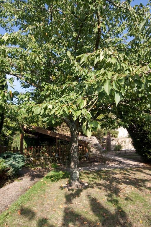 Le Petit Chateau - Tiffauges Proche Puy Dufou Exterior foto